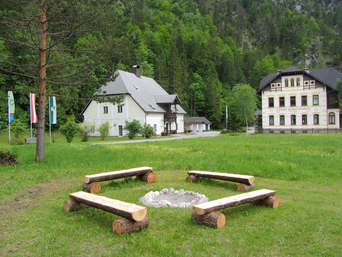 Hotel Bergkristall Wildalpen Eksteriør billede